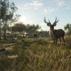 theHunter: Call of the Wild - Emerald Coast Australia DLC PC Steam CD Key
