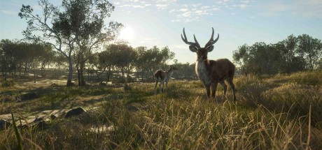 theHunter: Call of the Wild - Emerald Coast Australia DLC PC Steam CD Key