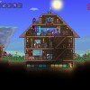 Terraria EU PC Steam CD Key
