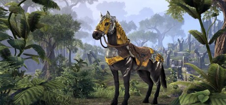 The Elder Scrolls Online - Dragon Slayer Mount DLC Xbox Series X|S CD Key