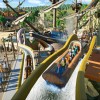 Planet Coaster: Deluxe Edition Steam CD Key