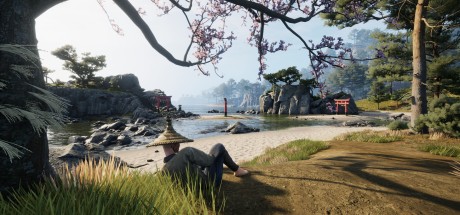 Sengoku Dynasty Ultimate Edition Steam CD Key