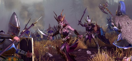 Total War: WARHAMMER Double Pack Bundle EU PC Steam CD Key