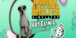 Animal Shelter - Vet Clinic DLC PC Steam CD Key