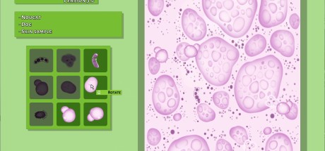 Animal Shelter - Vet Clinic DLC PC Steam CD Key