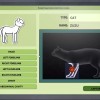 Animal Shelter - Vet Clinic DLC PC Steam CD Key