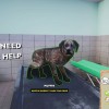 Animal Shelter - Vet Clinic DLC PC Steam CD Key