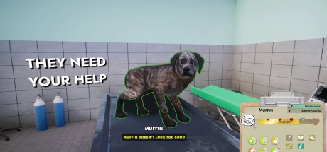 Animal Shelter - Vet Clinic DLC PC Steam CD Key