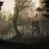 GreedFall Gold Edition EU Steam CD Key