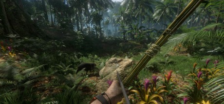 Green Hell EU XBOX One / Xbox Series X|S CD Key