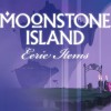 Moonstone Island - Eerie Items Pack DLC Steam CD Key