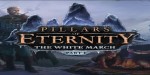 Pillars of Eternity - The White March Part I DLC Steam CD Key