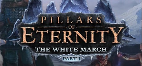 Pillars of Eternity - The White March Part I DLC Steam CD Key