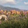 theHunter: Call of the Wild - Labrador Retriever DLC Steam CD Key