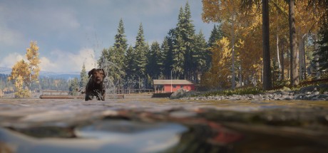 theHunter: Call of the Wild - Labrador Retriever DLC Steam CD Key