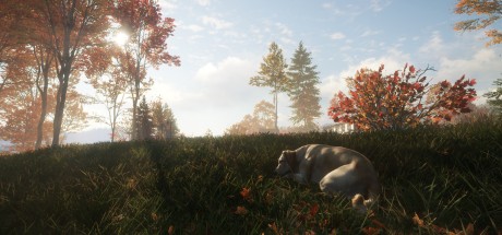 theHunter: Call of the Wild - Labrador Retriever DLC Steam CD Key