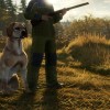 theHunter: Call of the Wild - Labrador Retriever DLC Steam CD Key