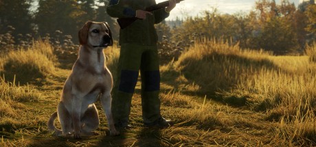 theHunter: Call of the Wild - Labrador Retriever DLC Steam CD Key