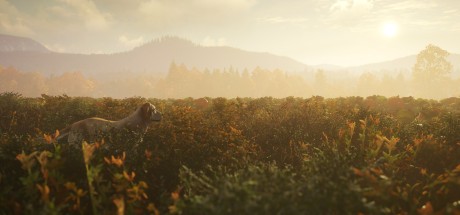 theHunter: Call of the Wild - Labrador Retriever DLC Steam CD Key