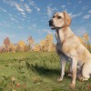 theHunter: Call of the Wild - Labrador Retriever DLC Steam CD Key