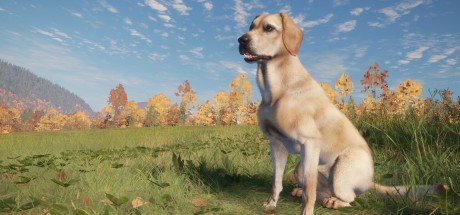 theHunter: Call of the Wild - Labrador Retriever DLC Steam CD Key
