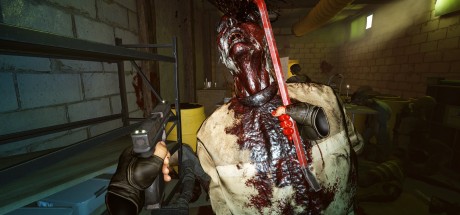 Arizona Sunshine 2 Steam CD Key