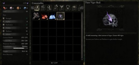 Lords of the Fallen (2023) - Starting Boost DLC Steam CD Key