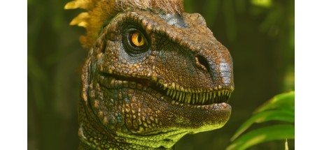 ARK: Survival Ascended EU Xbox Series X|S CD Key