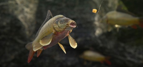 SCUM: Complete Bundle Steam CD Key SCUM: Complete Bundle Steam CD Key