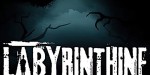 Labyrinthine EU Steam CD Key