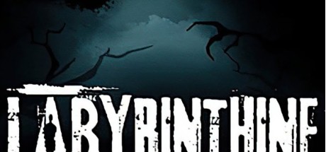 Labyrinthine EU Steam CD Key