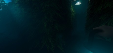 Labyrinthine EU Steam CD Key