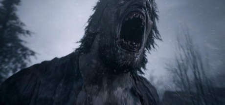 Resident Evil Village DE Steam CD Key