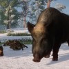 Planet Zoo - Eurasia Animal Pack DLC Steam CD Key