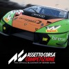 Assetto Corsa Competizione DE Steam CD Key