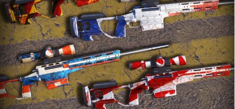 Sniper Ghost Warrior Contracts 2 - EURO Skin Pack DLC Steam CD Key