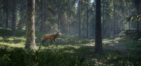 theHunter: Call of the Wild FR Steam CD Key