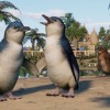 Planet Zoo - Oceania Pack DLC EU Steam CD Key