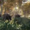 theHunter: Call of the Wild CN Steam CD Key