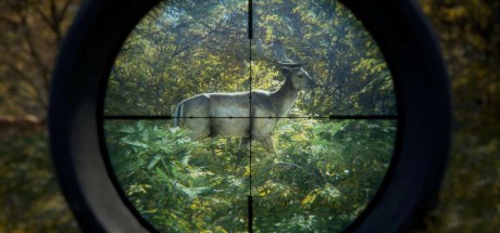 theHunter: Call of the Wild LATAM Steam CD Key