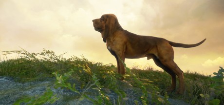 theHunter: Call of the Wild - Bloodhound DLC EU XBOX One / Xbox Series X|S CD Key