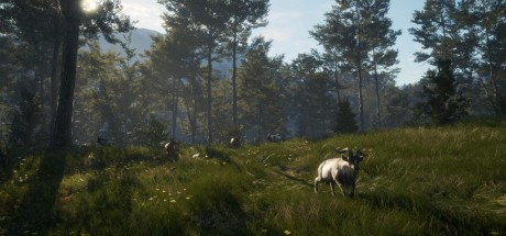 theHunter: Call of the Wild - Te Awaroa National Park DLC EU XBOX One / Xbox Series X|S CD Key