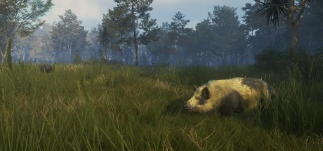 theHunter: Call of the Wild - Te Awaroa National Park DLC EU XBOX One / Xbox Series X|S CD Key