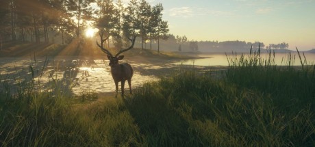 theHunter: Call of the Wild - Te Awaroa National Park DLC EU XBOX One / Xbox Series X|S CD Key