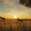 theHunter: Call of the Wild - Vurhonga Savanna DLC EU XBOX One / Xbox Series X|S CD Key