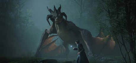 Hogwarts Legacy CA Xbox Series X|S CD Key