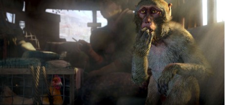 Far Cry 4 + Far Cry Primal Bundle AR XBOX One / Xbox Series X|S CD Key