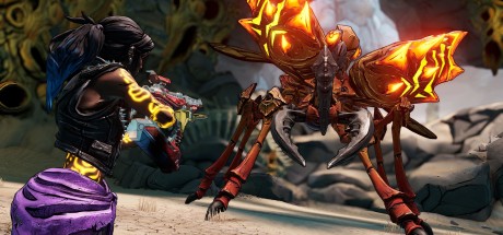 Borderlands 3 - Director's Cut DLC NA PC Steam CD Key