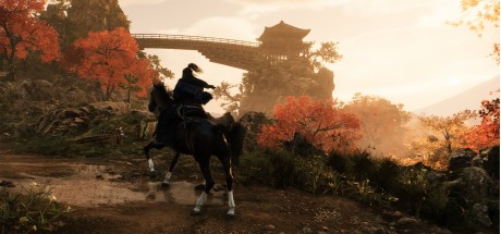 Rise of the Ronin - Matthew Perry Avatar DLC NA PS4/PS5 CD Key