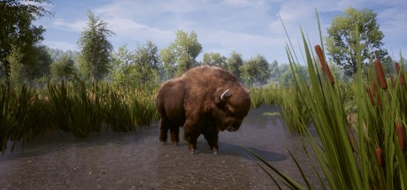 RimWorld & Medieval Dynasty Bundle Steam CD Key